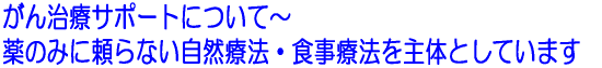 がん治療サポートについて～薬のみに頼らない自然療法・食事療法を主体としています