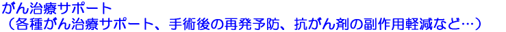がん治療サポート（各種がん治療サポート、手術後の再発予防、抗がん剤の副作用軽減など…）